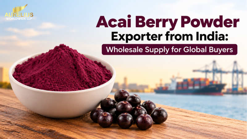 Acai Berry Powder Exporter from India: Wholesale Supply for Global Buyers