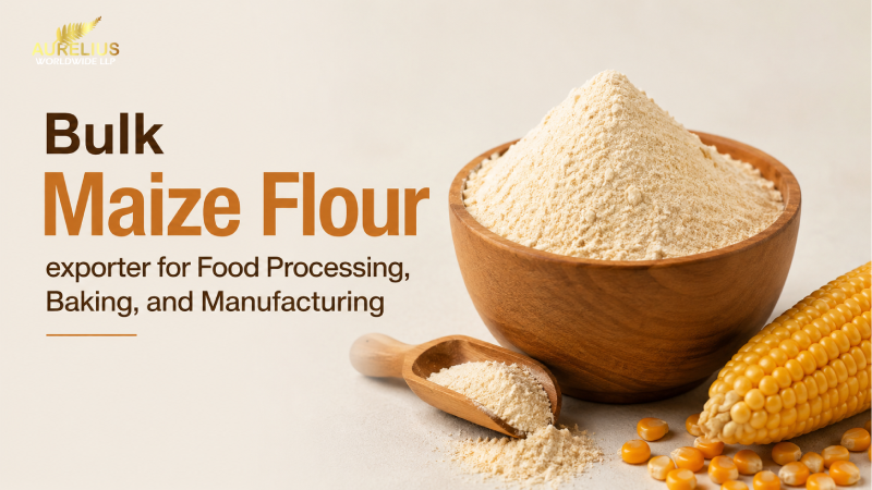 Bulk Maize Flour Exporter for Food Processing, Baking, and Manufacturing