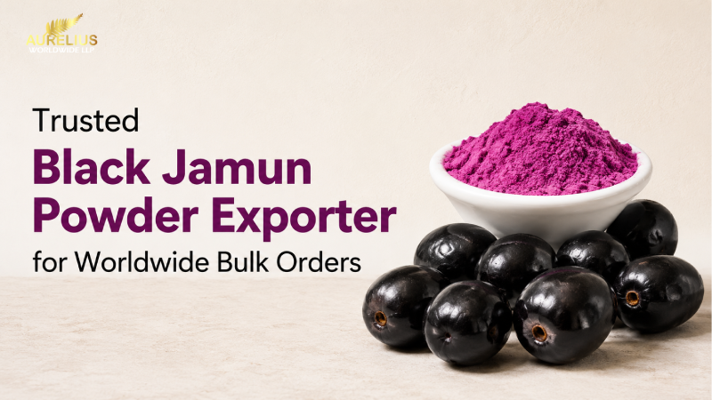 Trusted Black Jamun Powder Exporter for Worldwide Bulk Orders