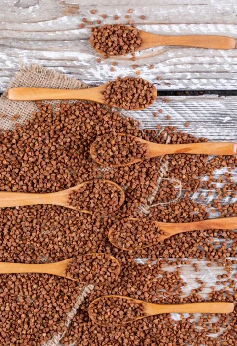 Animal Feed