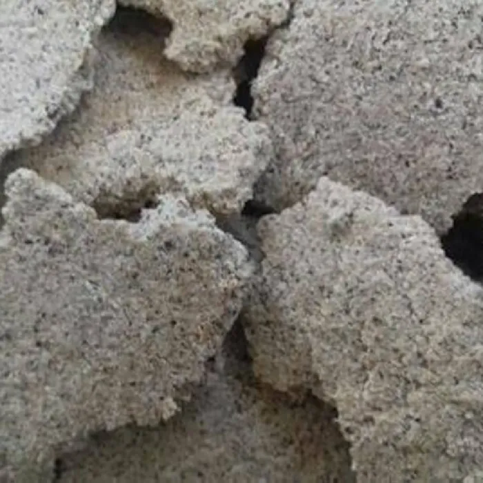 Coconut Oil Cake