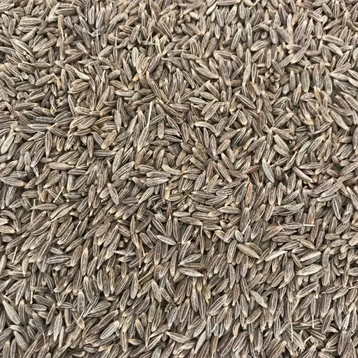 Cumin Seeds