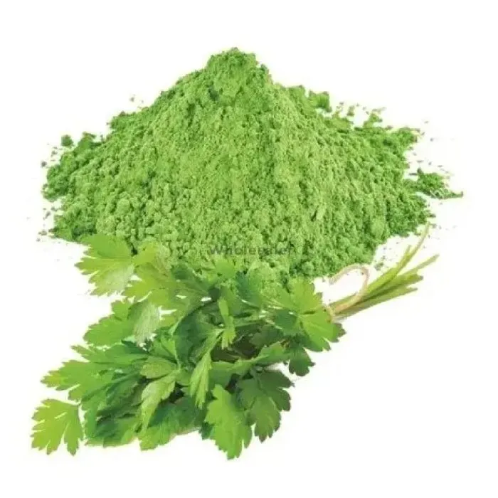Dehydrated Coriander Leaves Powder