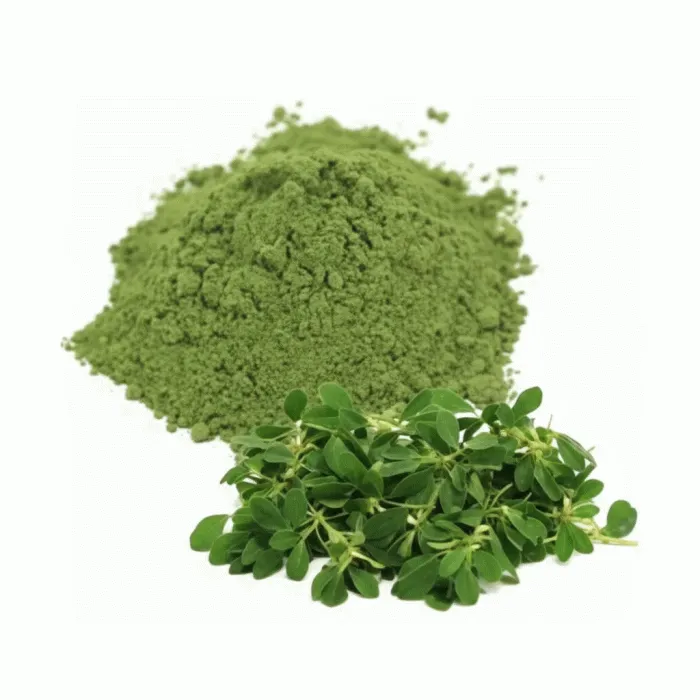 Dehydrated Fenugreek Leaves Powder