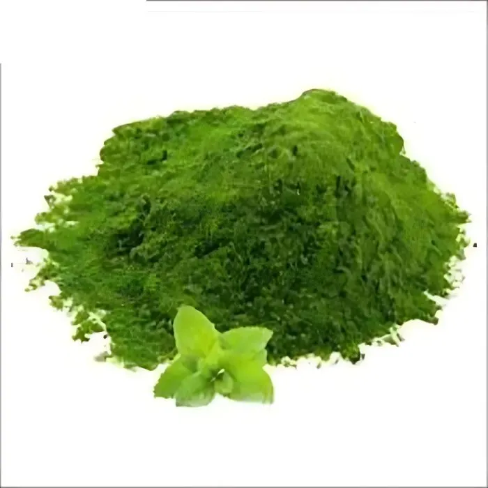 Dehydrated Mint Powder