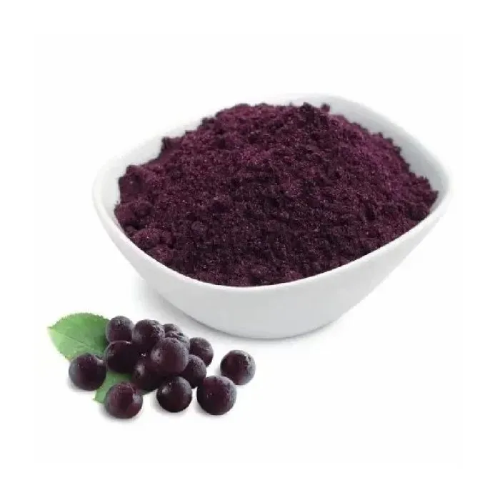 Elderberry Powder