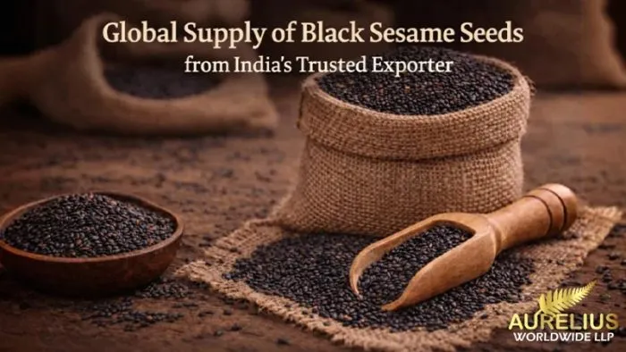 Global Supply of Black Sesame Seeds from India’s Trusted Exporter