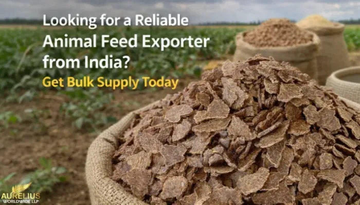 Looking for a Reliable Animal Feed Exporter from India? Get Bulk Supply Today