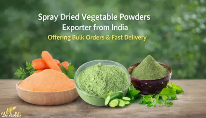Spray Dried Vegetable Powders Exporter from India Offering Bulk Orders & Fast Delivery