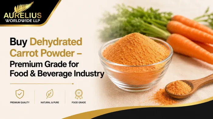Buy Dehydrated Carrot Powder – Premium Grade for Food & Beverage Industry