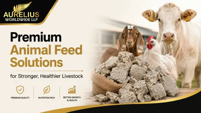 Premium Animal Feed Solutions for Stronger, Healthier Livestock